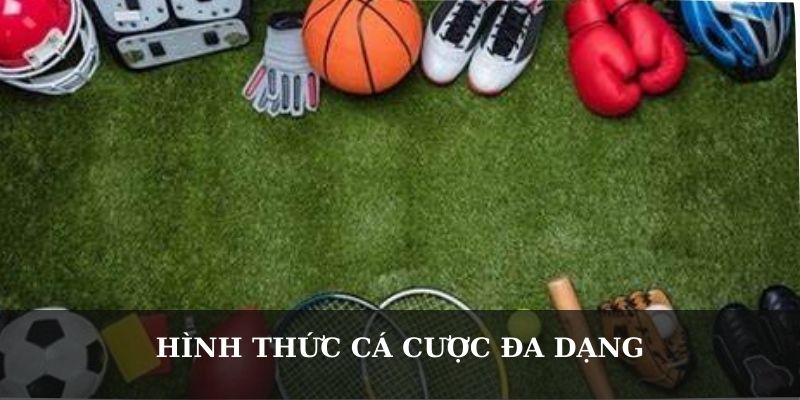 Hình thức cá cược đa dạng