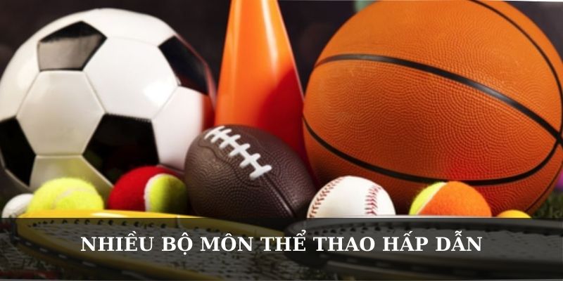 Nhiều bộ môn thể thao