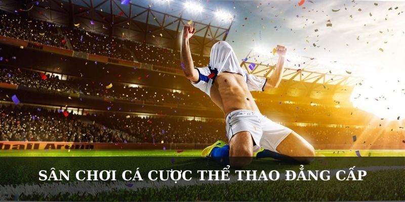 Sân chơi cá cược thể thao đẳng cấp